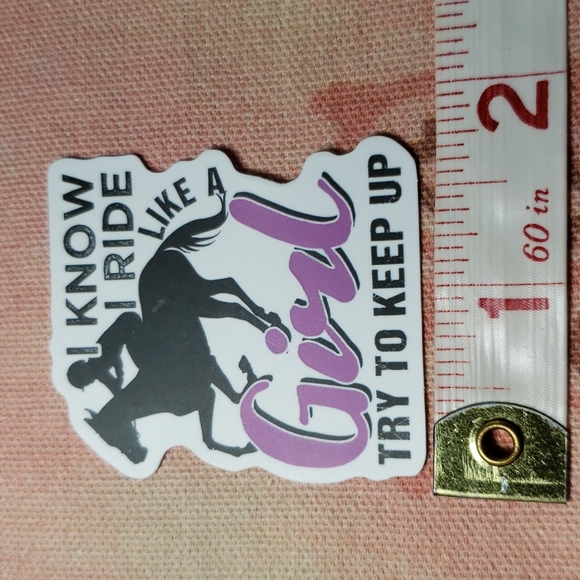 *(A) Cowgirl Sticker Western Decor Farm Girl Horse Girl Equestrian - Picture 2 of 4